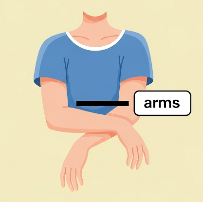 Arms